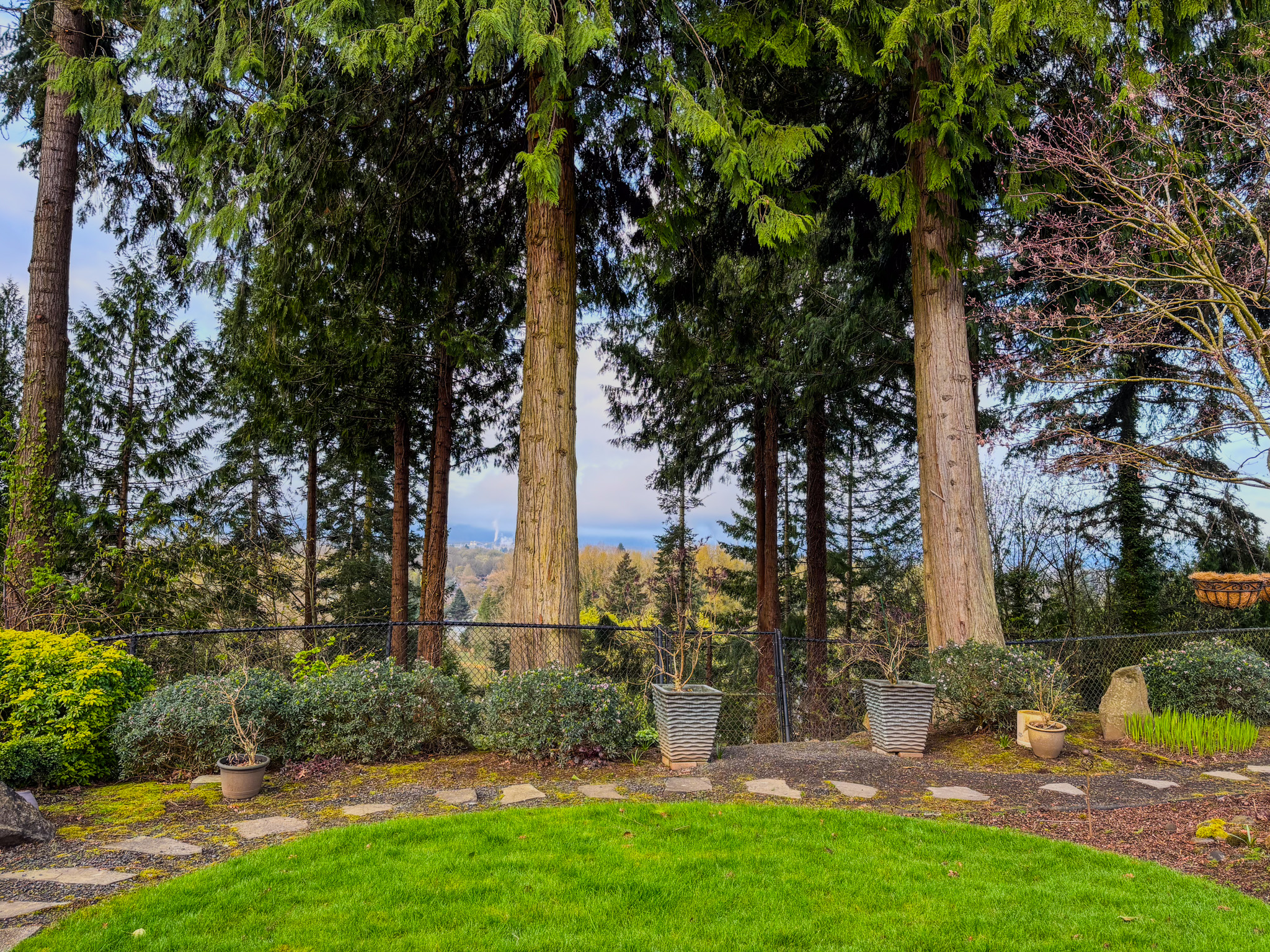 Columbia River views through mature trees