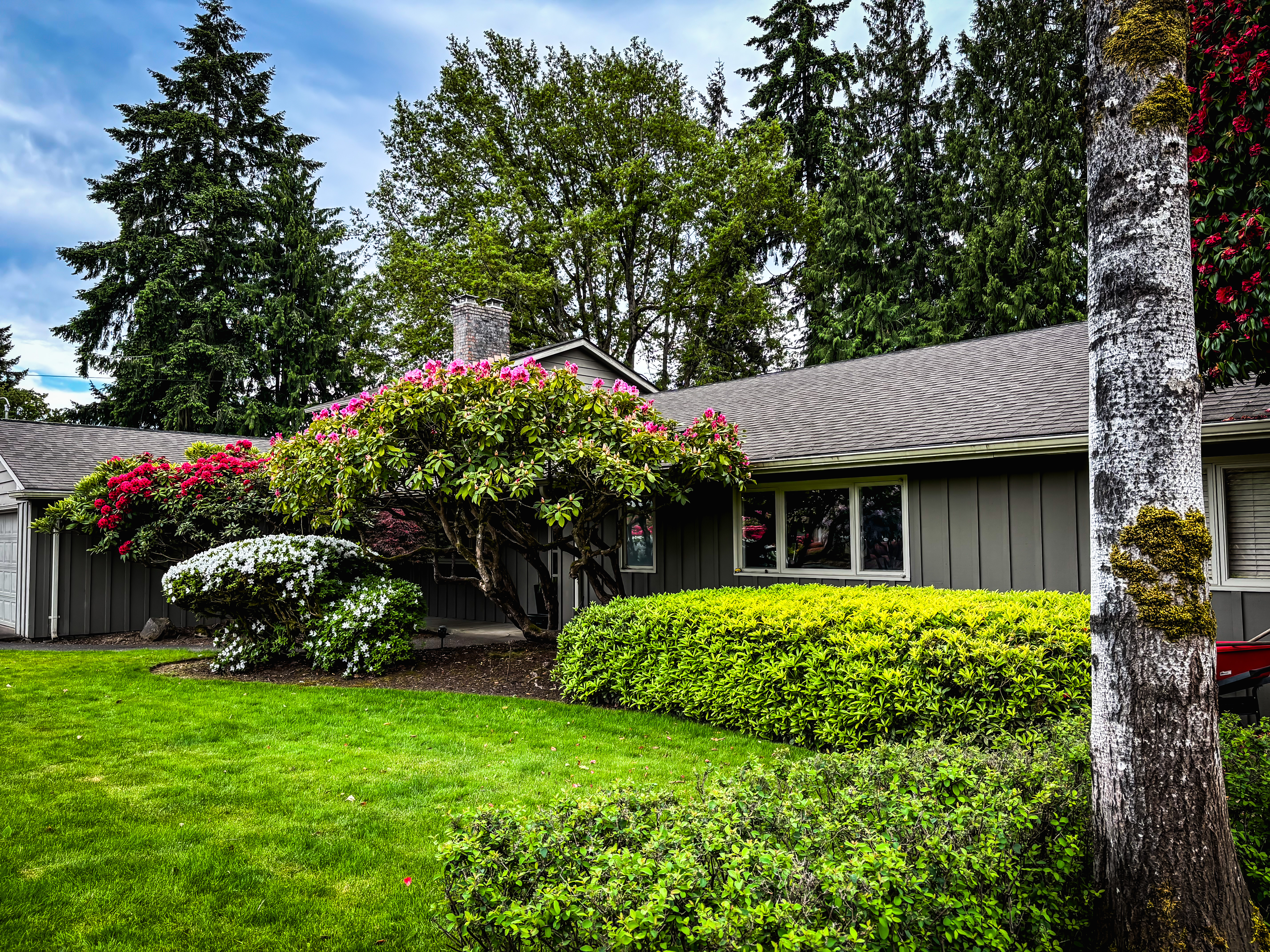 Front exterior with lush landscaping